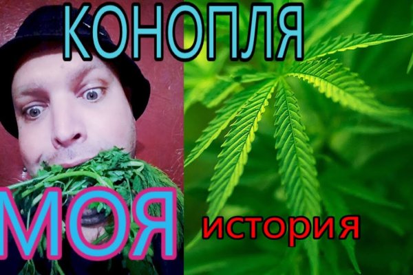 Кракен последние ссылки