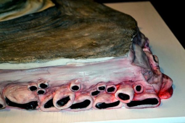 Kraken 25 at