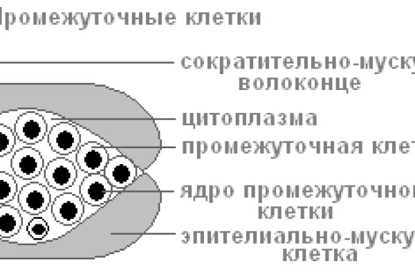 Кракен вход krakens13 at