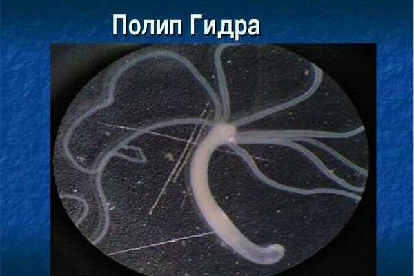 Кракен даркнет ссылка для тор