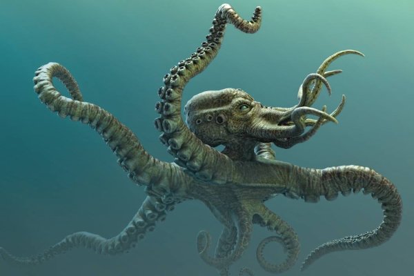 Kraken официальный сайт ссылка через tor