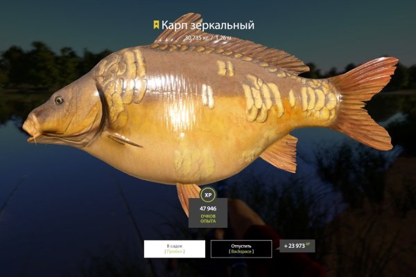 Кракен тор что это