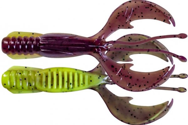 Kraken krn