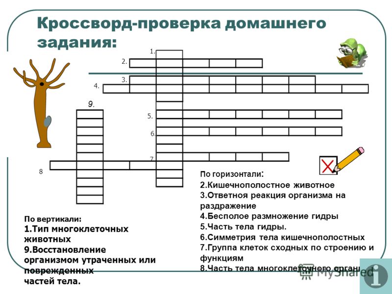 Кракен zerkalo pw